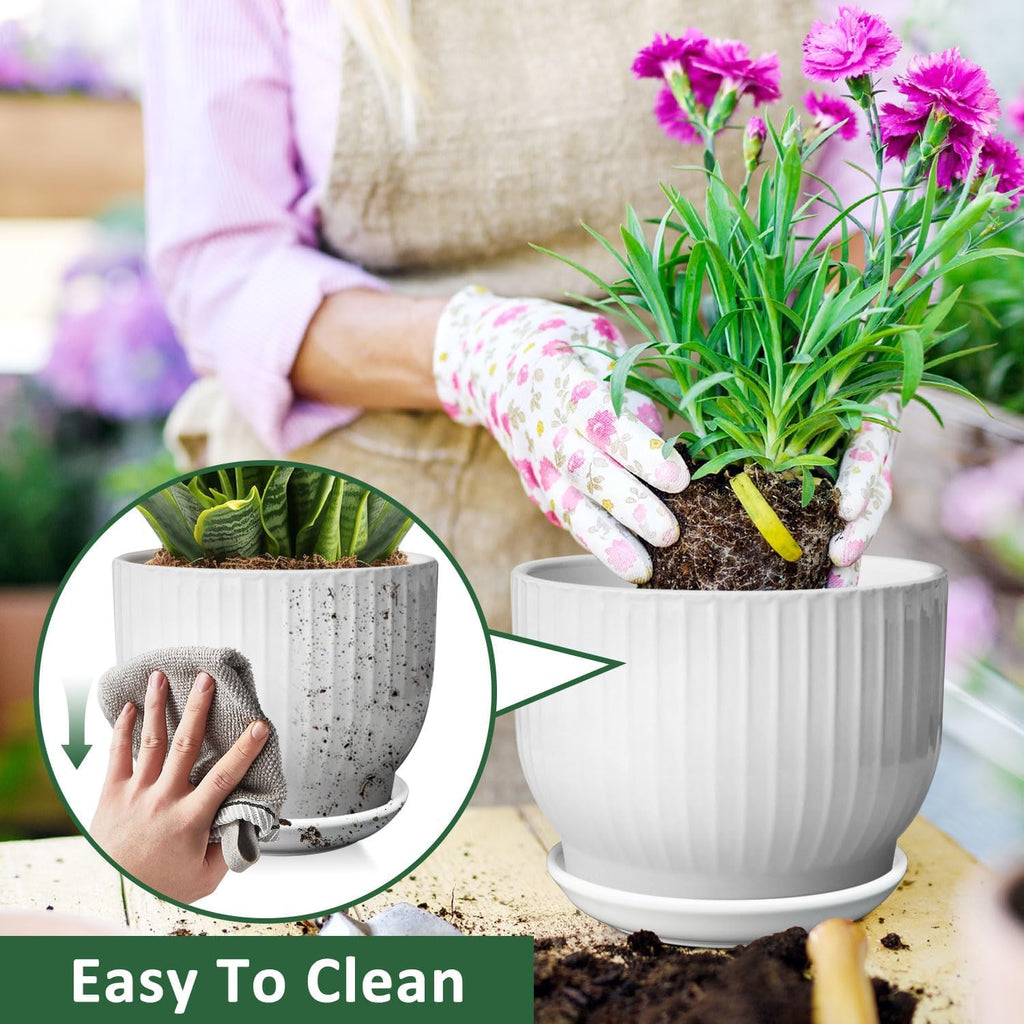 8 Inch Plant Pot,Ceramic Planter with Drainage and Saucer,Ceramic Pots for Plants,Indoor Plant pots,Ceramic Flower