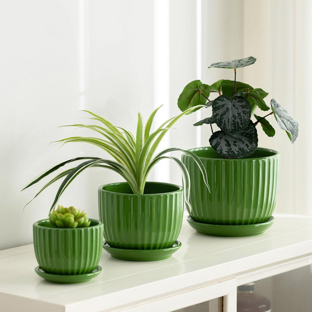 Green Plant Pots,Ceramic Planters with Drainage Holes & Saucers Set of 3 | Planters for Indoor Plants | Small Succulent