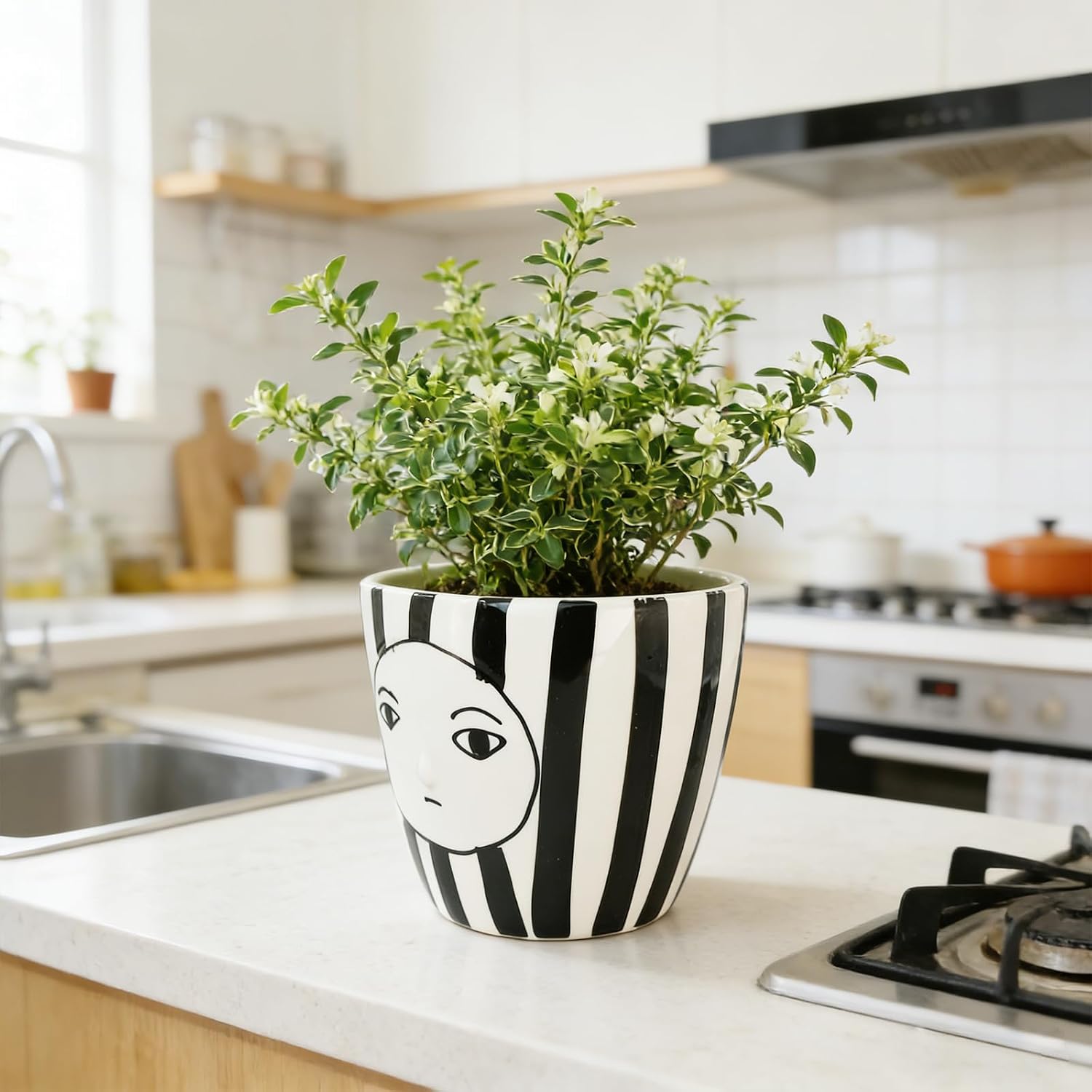 Modern Abstract Face Ceramic Planter with Black & White Stripes ，5.9in Indoor Planter with Drainage Outlet and Tray