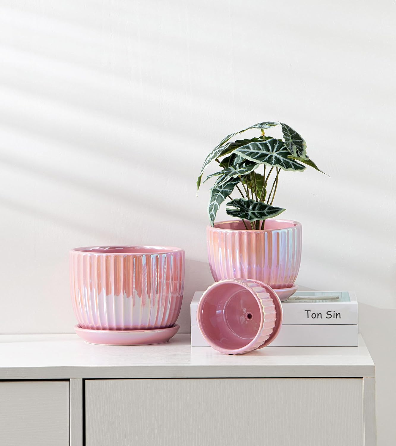 Pink Plant Pots，Ceramic Planters with Drainage Holes and Saucers Set of 3 | Ceramic Planters for Indoor Plants | Cute