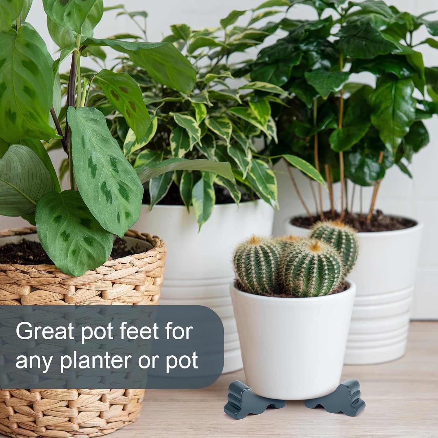Kigeli 6 Pcs Resin Garden Pot Feet for Outdoor Planters 3 Inch Long 1.5 Inch Tall Flower Handmade Elevator Plant Feet