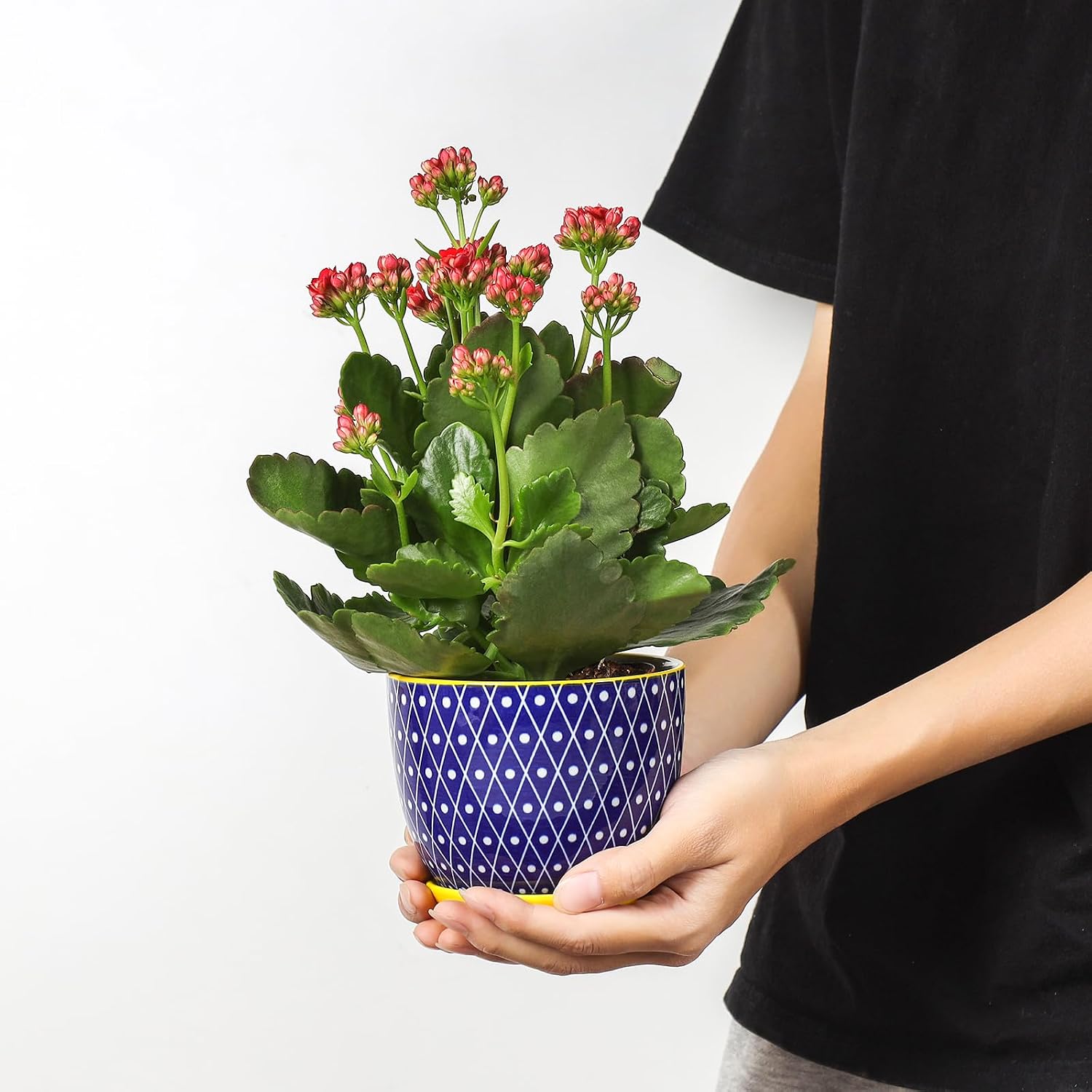 Selamica Ceramic Plant Pots, 4.6 Inch Flower Pots for Indoor Plants, Succulent Pots with Drainage Hole & Saucer