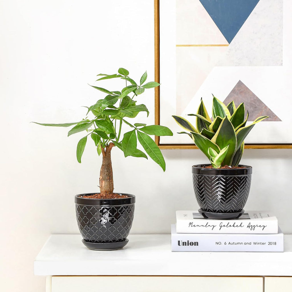 Sureasy Ceramic Indoor Plant Pots - 5.6 Inch Flower Pots for Plants with Drainage Hole and Saucer, Embossed Planter for