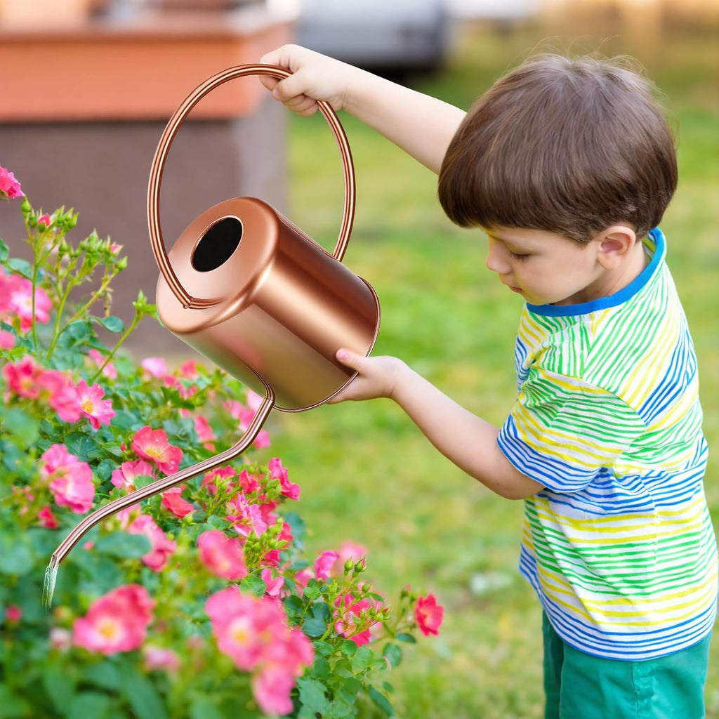 Plant Watering Can, 50 oz / 1500 ml Stainless Steel Metal - Modern Decorative with Long Spout for Indoor Potted Plants