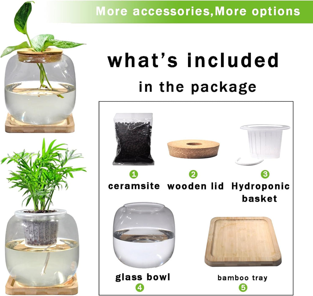 Betta Fish Bowl Glass Small Fish Tank with Bamboo Stand, Plant Propagation Station Hydroponic Terrarium with Lid beta