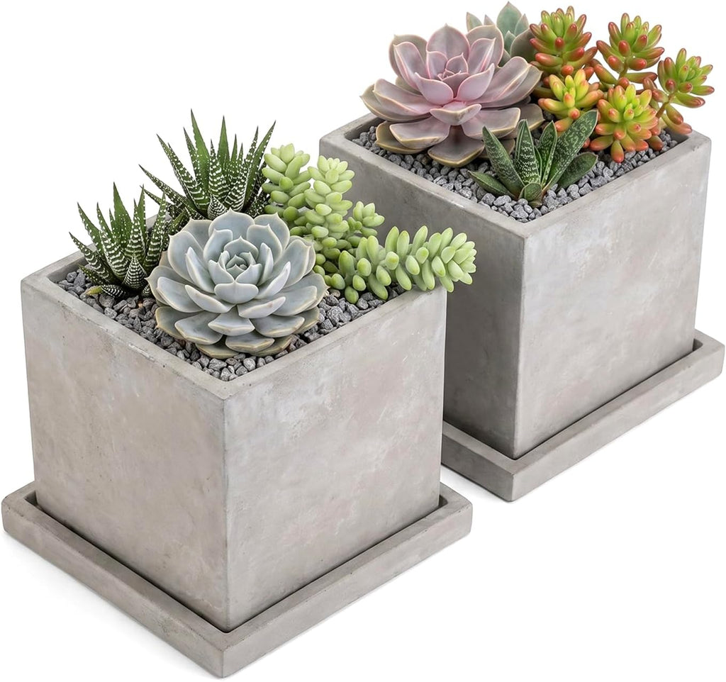 MyGift 5-Inch Square Gray Cement Plant Pot with Drainage, Small Flower Succulent Planters with Removable Saucer Trays