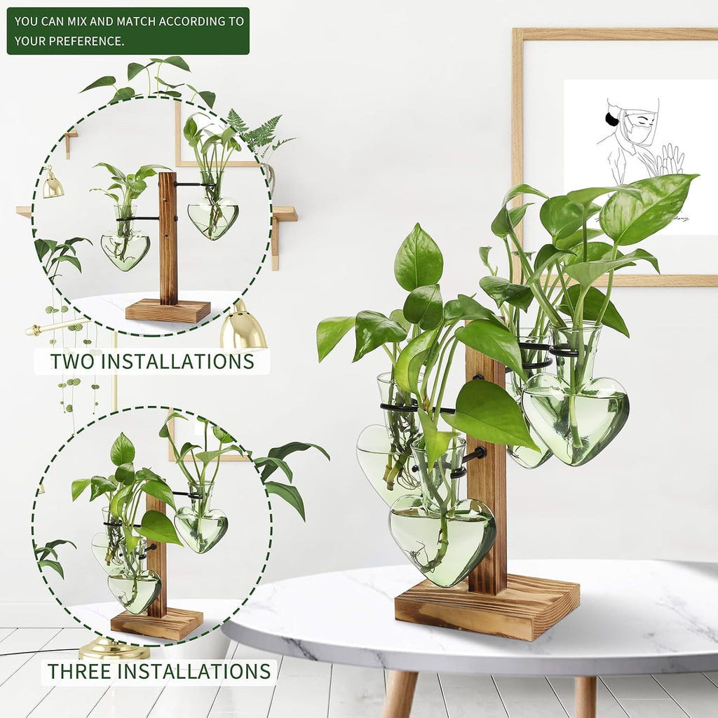 Plant Terrarium Propagation Stations with Wooden Stand | Glass Vase for Indoor Hydroponics Home Garden Office