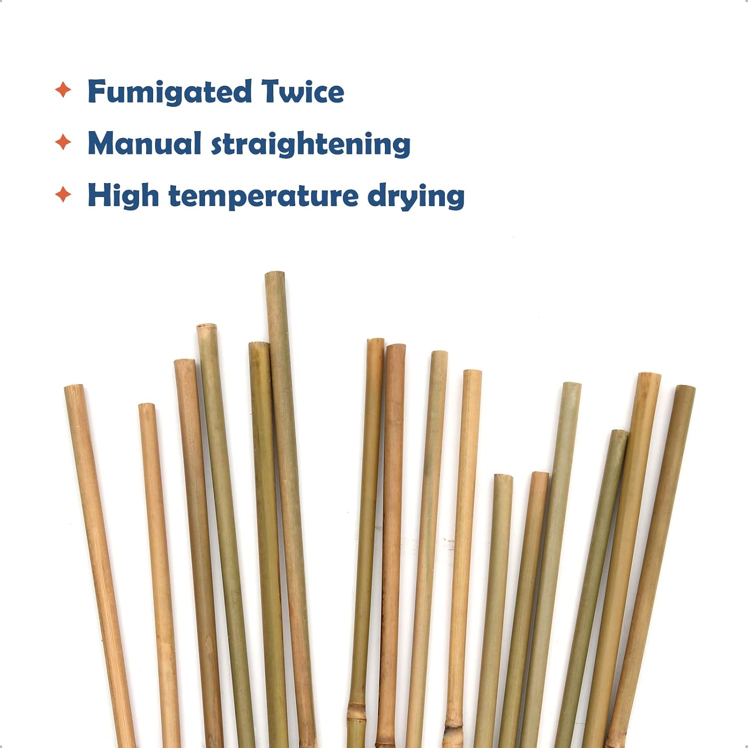 COLOtime Bamboo Stakes 58 Inch (Approx 5FT) Garden Stakes Plant Stakes for Outdoor Climbing Plants Poles Sticks Support