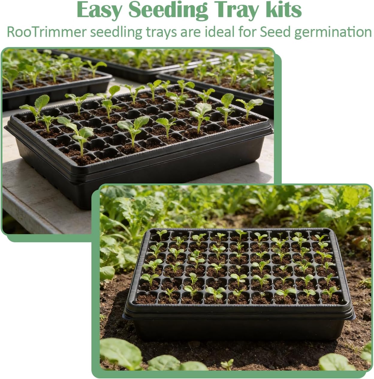 RooTrimmer 5 Pack Seedling Starter Trays No Holes and 5 Pack 54 Cell Seed Starter Trays Extra Deep 2.8" - Heavy Duty