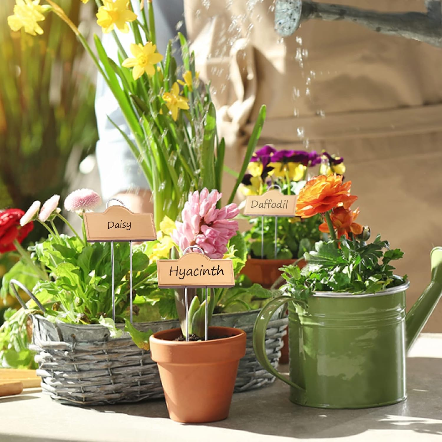 Stainless Steel 304 Plant Labels Weatherproof, Metal Garden Label Tall Markers 25 Pack for Plants Vegetables Herb