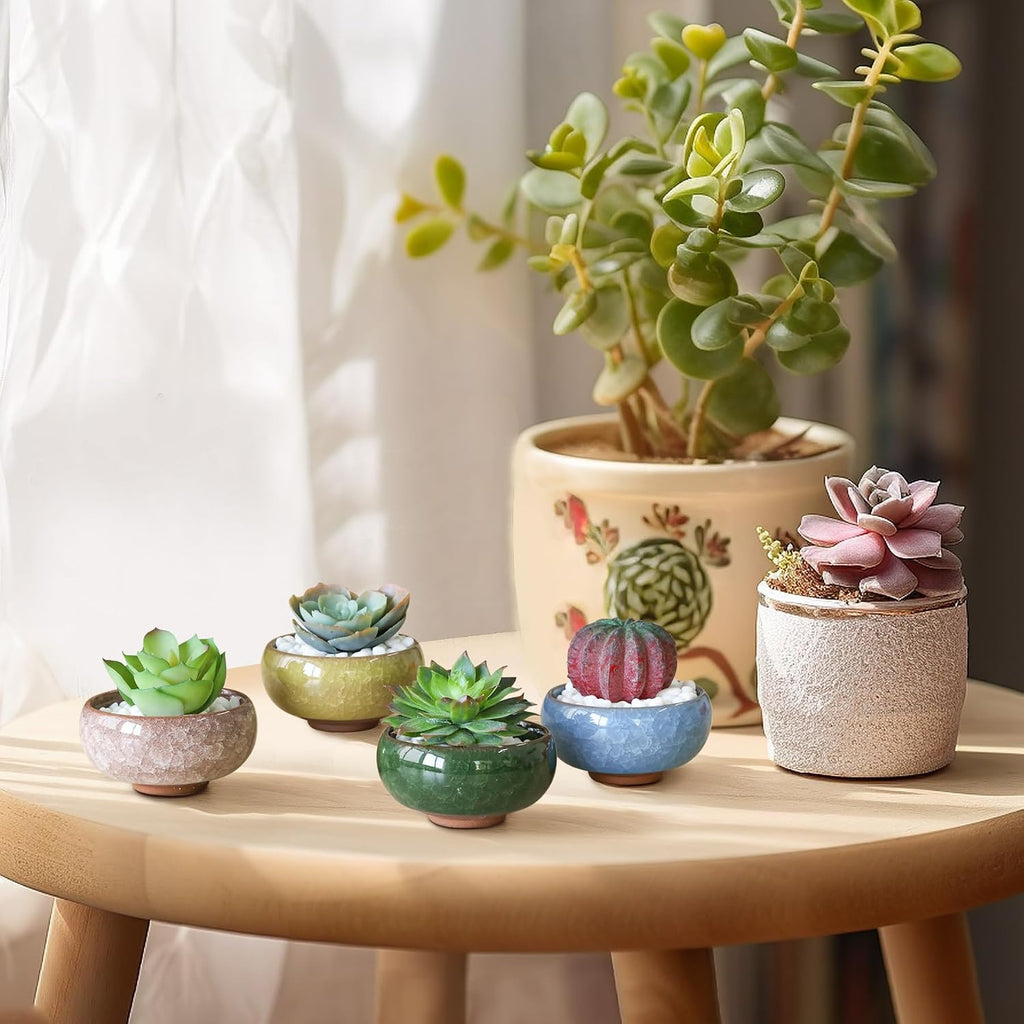 T4U 2.5 Inch Small Ceramic Succulent Planter Pot with Drainage Hole Set of 12, Ice Crack Glaze Plant Container for