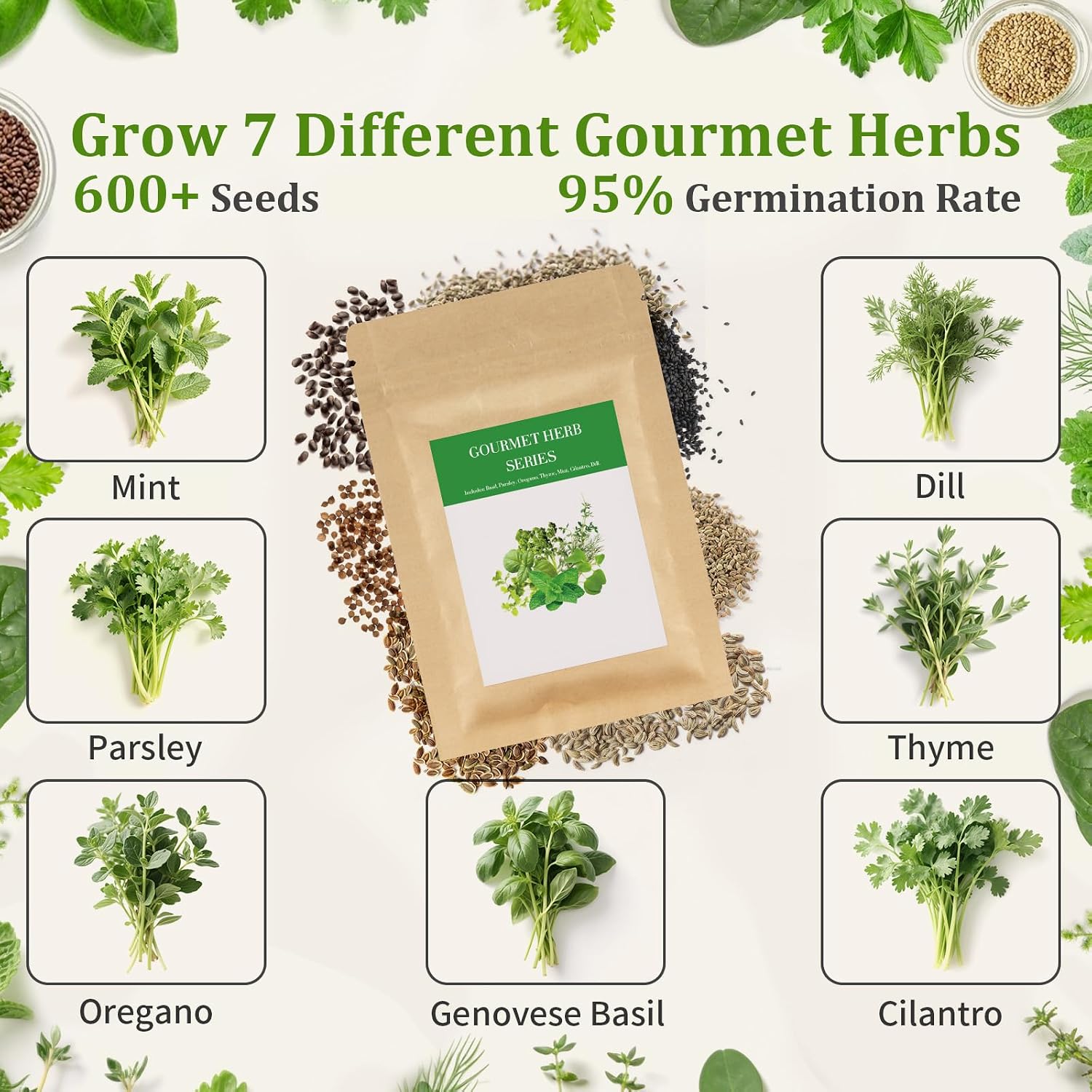 Herb Indoor Window Garden Kit - House Plants Seeds - Best Unique Christmas Gift Ideas for Women, Friend, Birthday
