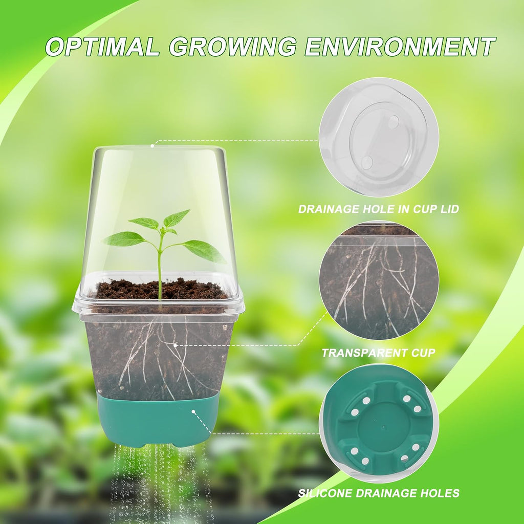 Sankoly 30 Packs Clear Nursery Pots with Plant Repotting Mat, Gloves, Labels,Humidity Domes,Seedling Tools, 3 Inch