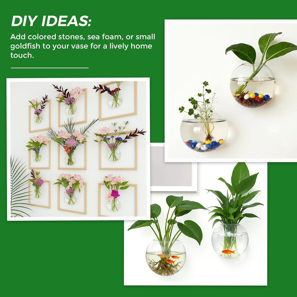 DomeStar Set of 6 Wall Vases, Wall Mounted Propagation Station | Hanging Glass Vases, Terrarium Station for