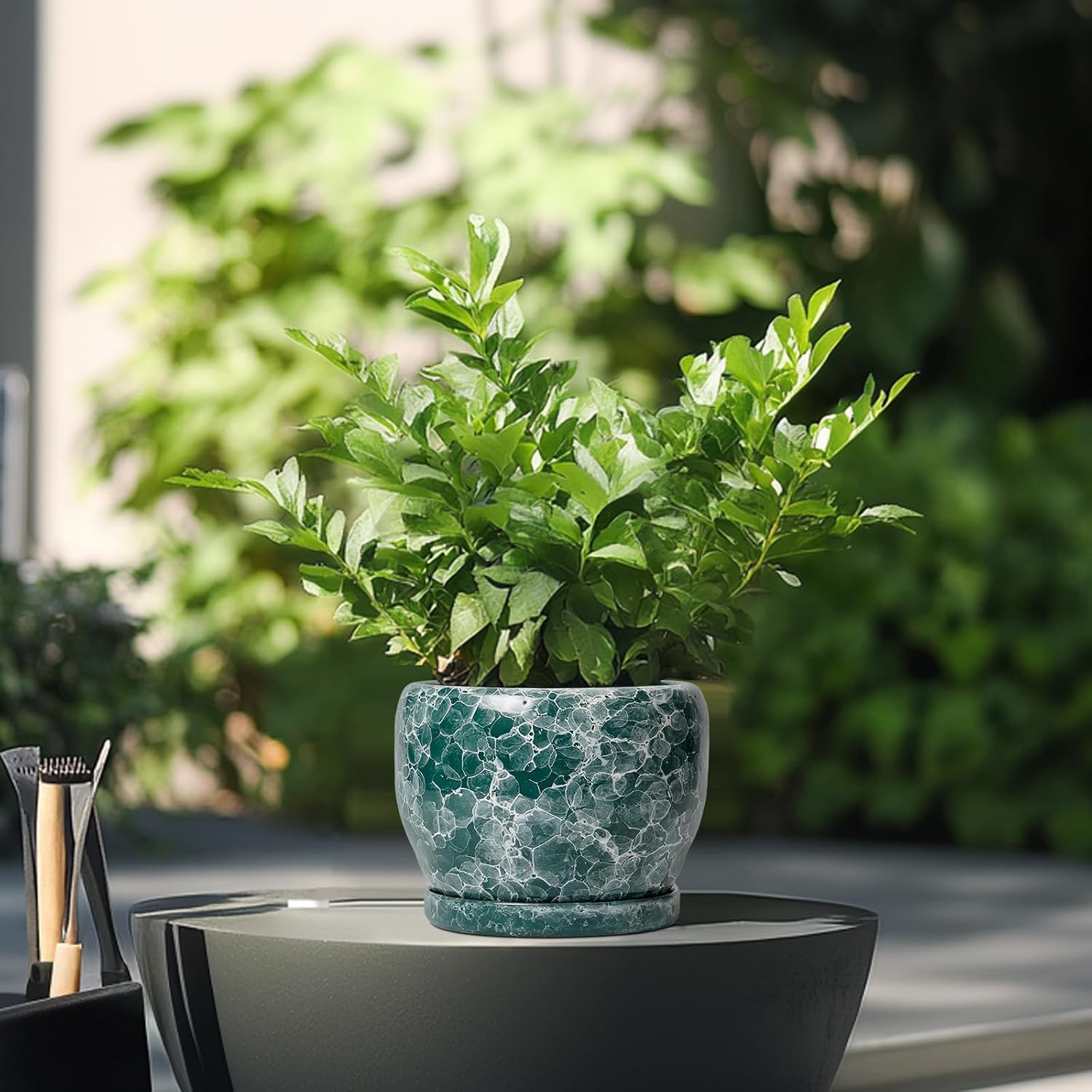 SQOWL Ceramic Pot for Plants - 6 Inch Ceramic Planter with Drainage Hole and Saucer, Round Flower Pot for Indoor