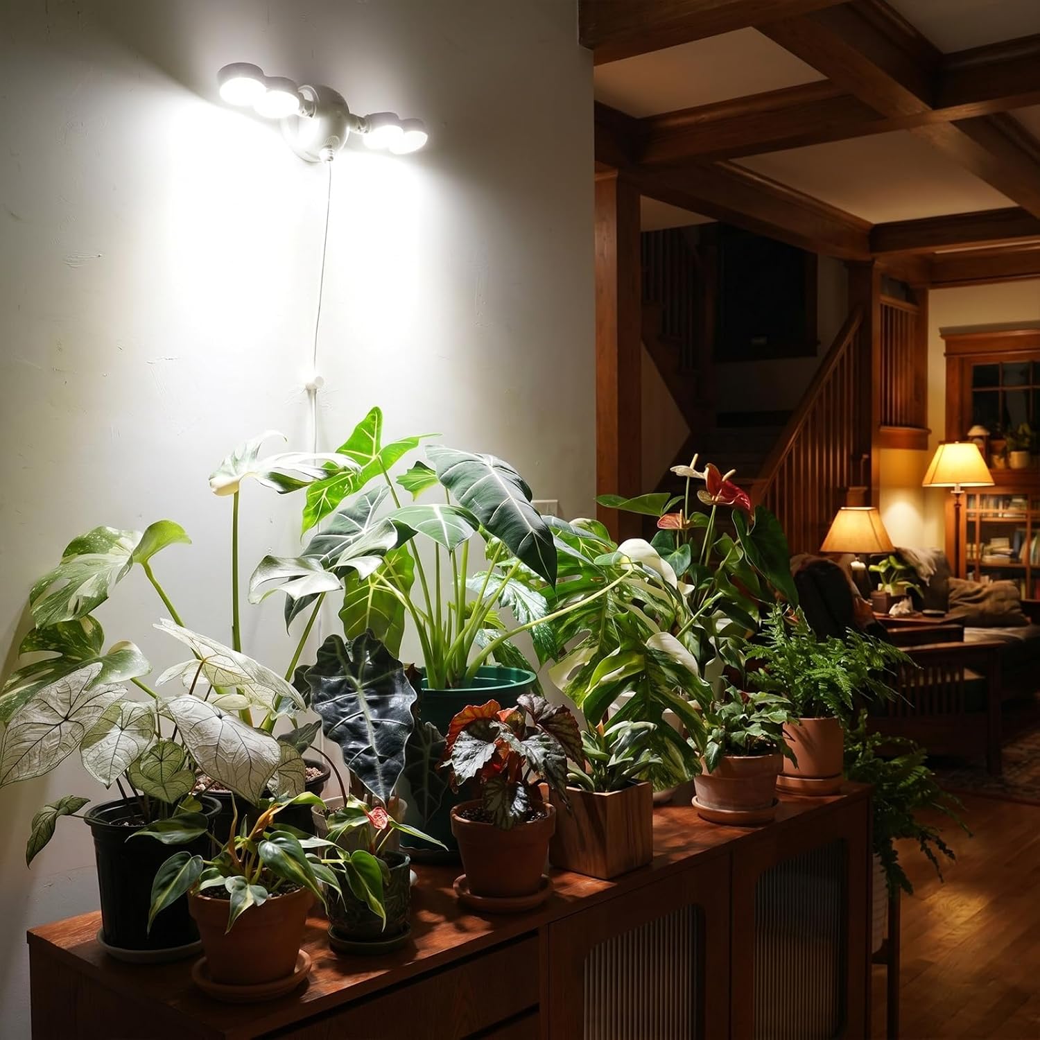 SANSI Wall Mounted Grow Light, 30W Dual Head Full Spectrum with Remote | Programmable Timer, 4-Level Dimmable