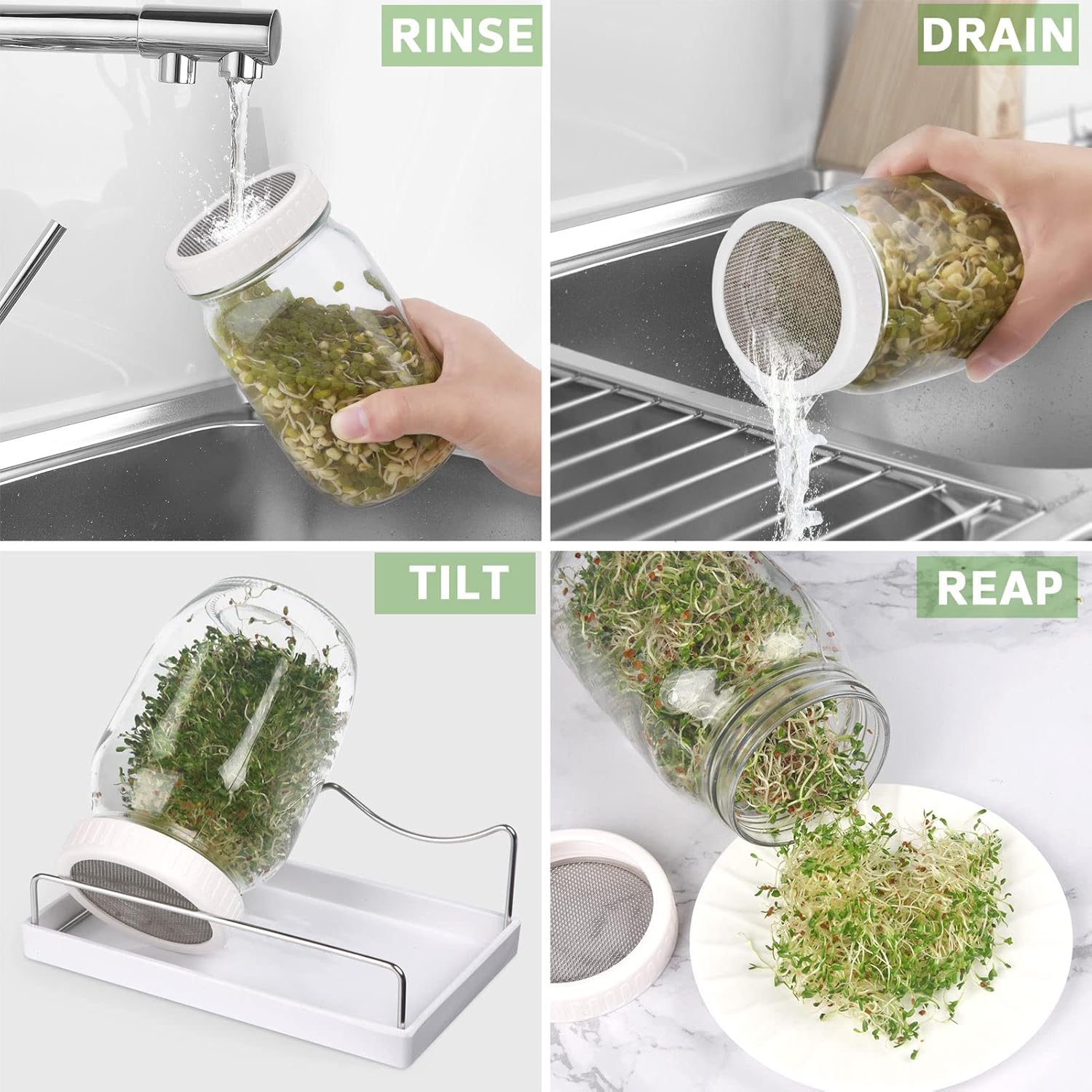 Complete Sprouting Jar Kit| 2 Wide Mouth Mason Jars, 316 Screen Sprout Lids, Blackout Sleeves, Tray, Stand| Sprouter