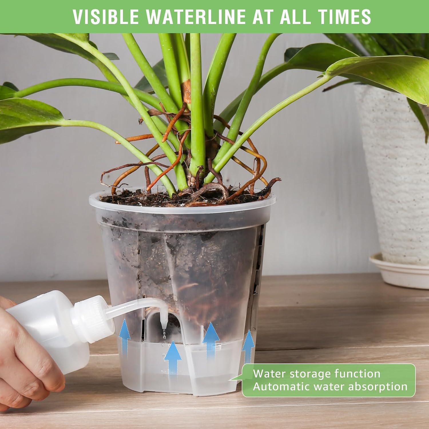 GREENPARA 5 Inch Clear Self Watering Planter, Plant Pot with Reservoir | Clear Reservoir • Visible Water Level •