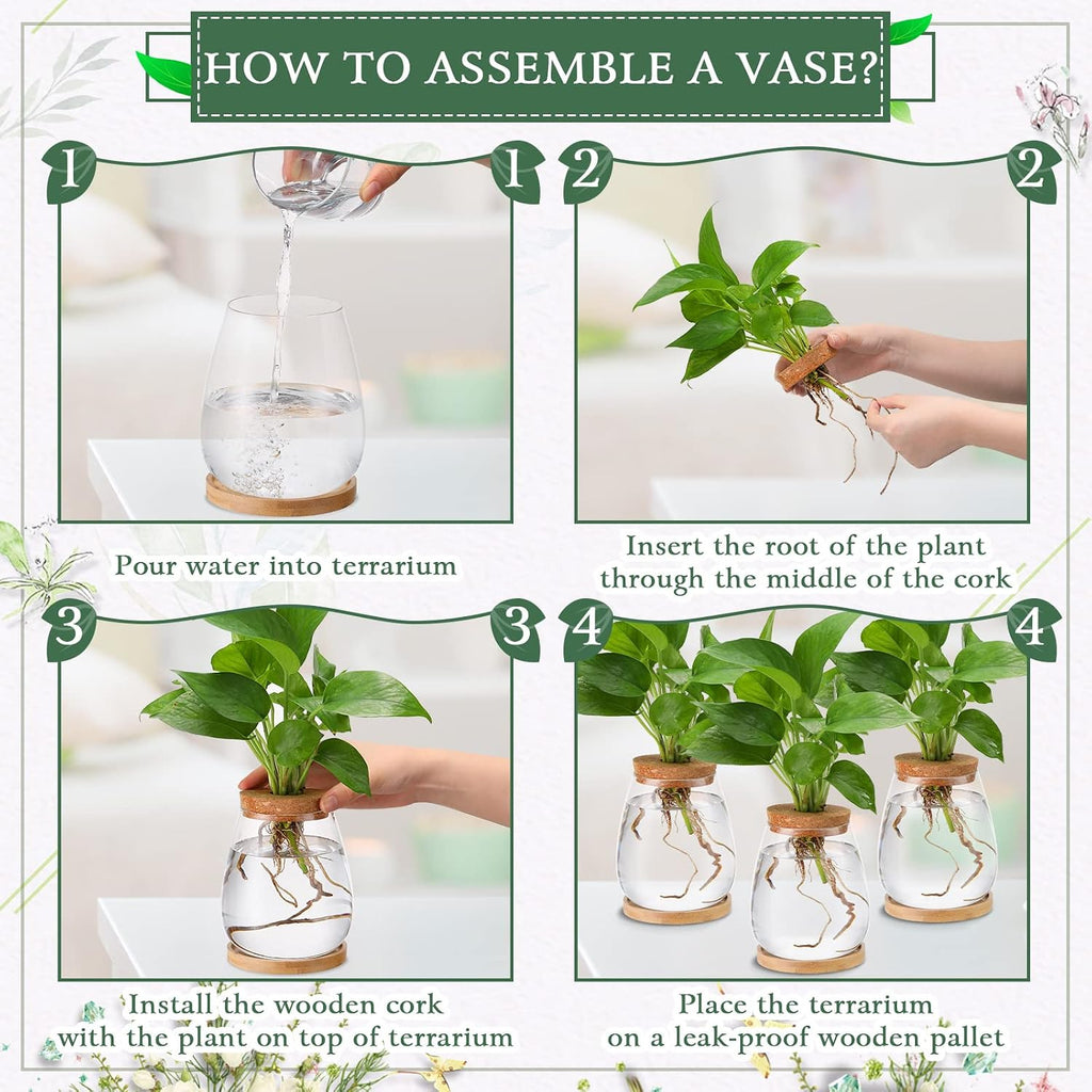 Nuanchu 4 Pcs Desktop Plant Terrarium Plant Propagation Vase Propagation Jars Glass Containers Air Planter Water