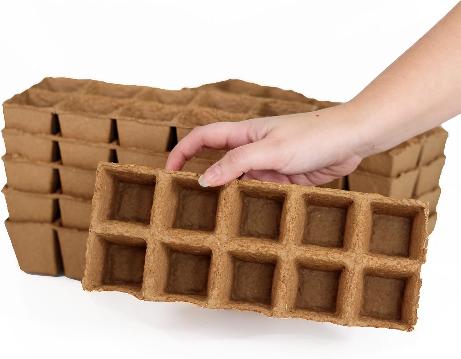 Daniel's Plants 2" Naked Pots Seedling Trays | Natural Plantable Seed Starter Trays | OMRI-Listed Biodegradable | Earth