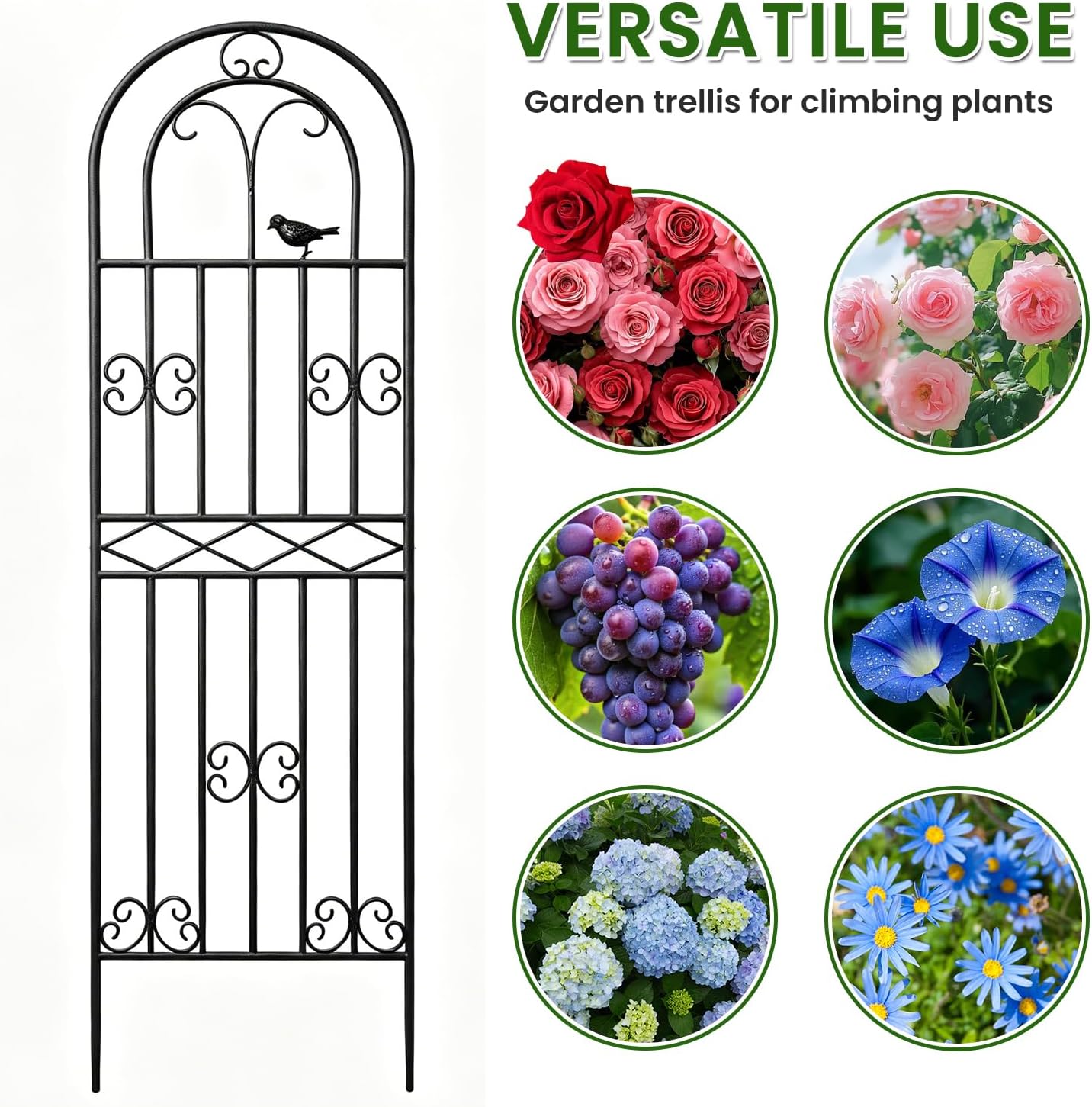 1 Pack 59"x19.7" Metal Gardon Trellis for Climbing Plants Flowers Outdoor, Rustproof, Heavy Duty, Black Coating Plant