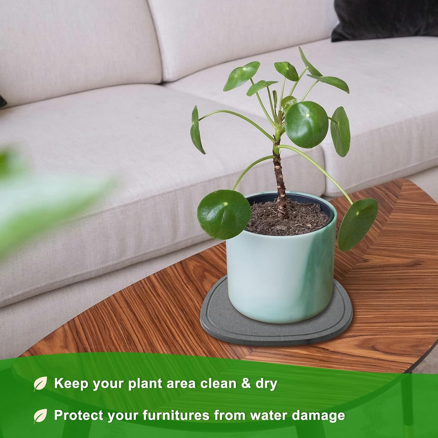 4 6 8 Inch 6 Pack Diatomite Plant Saucers for Indoors, Plant Drip Tray | XRzitky Quick Absorbent and Dry Plant Plates