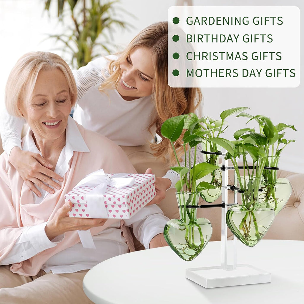Plants Propagation Stations Plant Terrarium Kit Gift for Women | Birthday Glass Planters For Indoor Plants Home Office