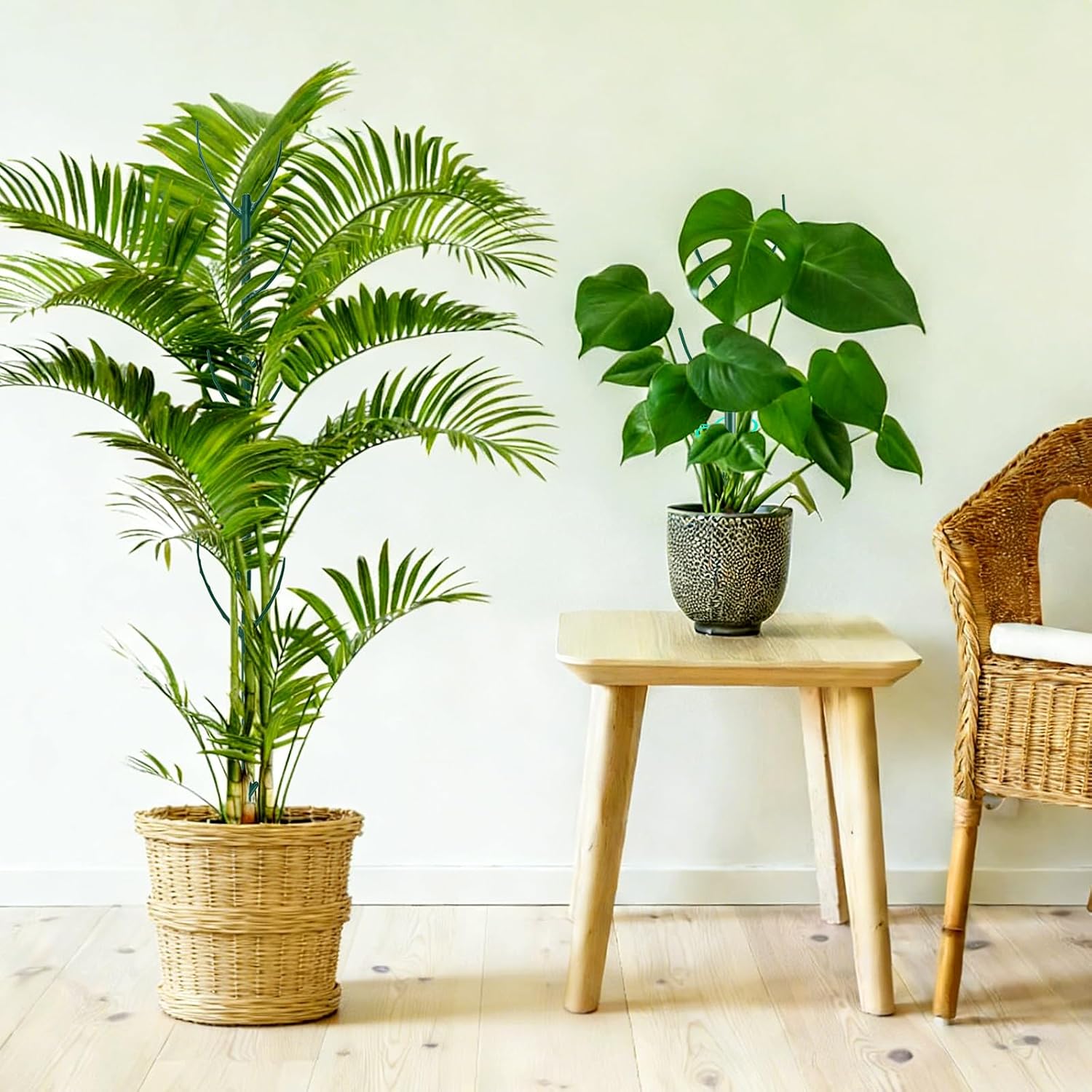 20Pack Monstera Plant Support Stakes, Stackable Plant Support Stakes in Bulk, with 20 Twist Clips & 16.4FT Plant Ties