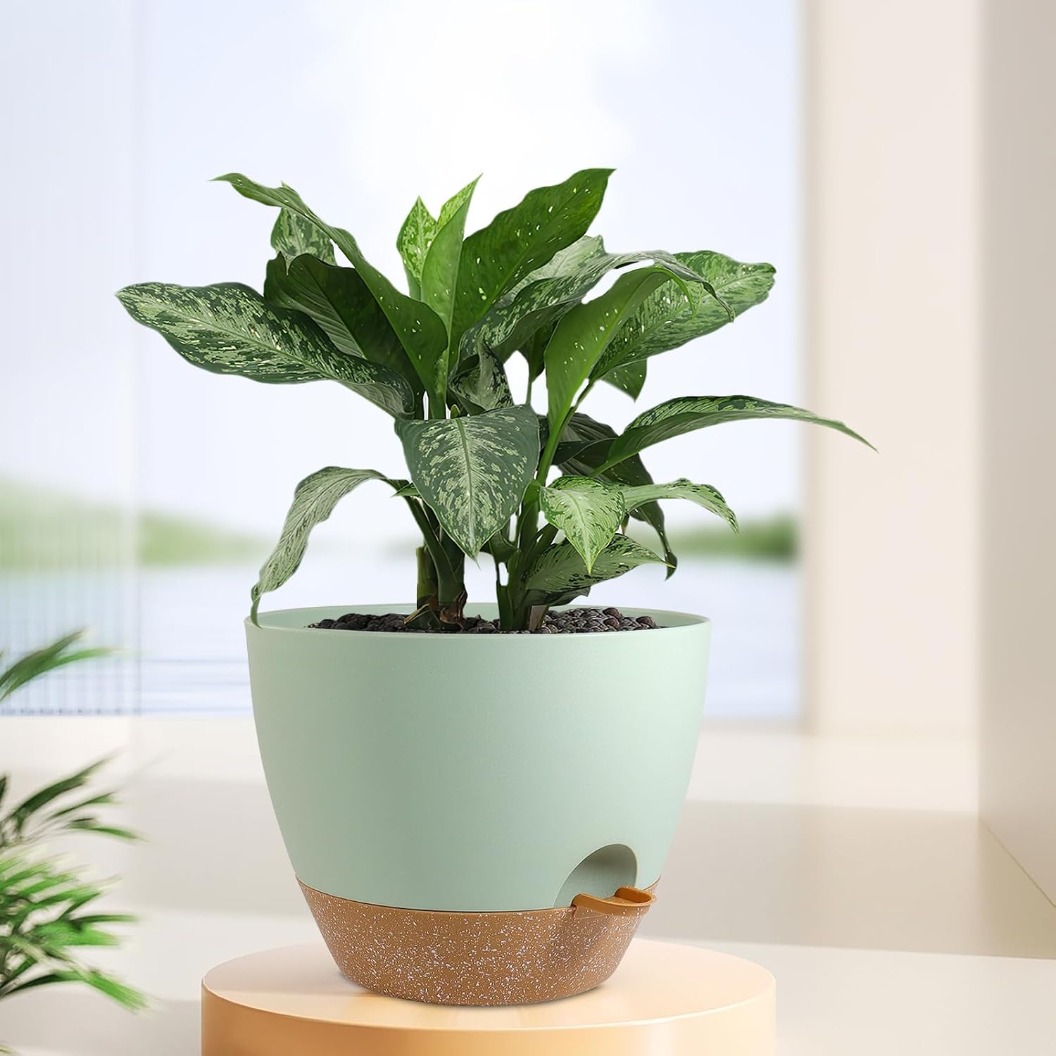 Meowell 12 inch Large Self Watering Pots, Plant Pots with Mesh Drainage Holes for Indoor Outdoor Plants, Plastic