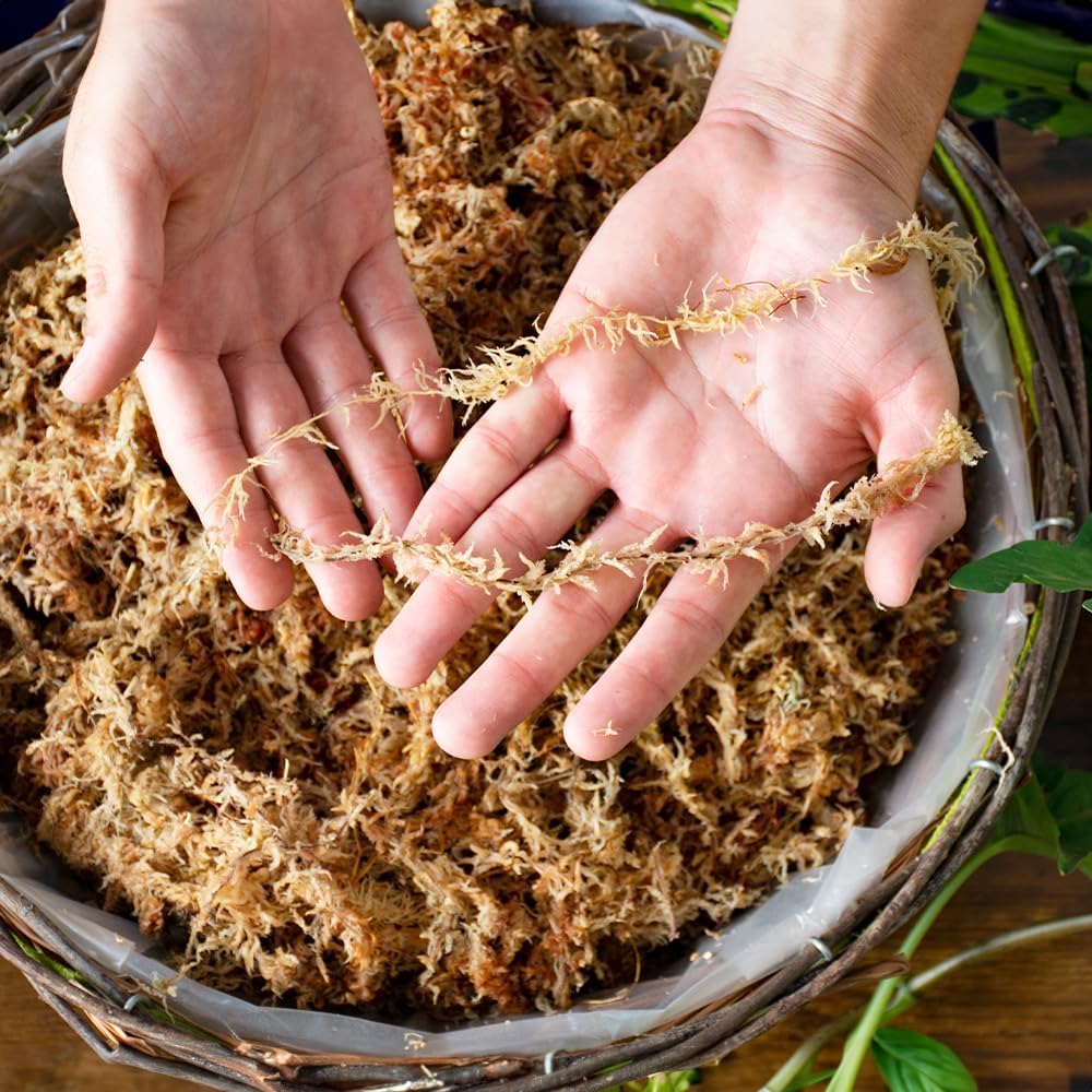 SuperMoss (22330) Orchid Sphagnum Moss Dried, Natural, 2.1lbs Small Bale