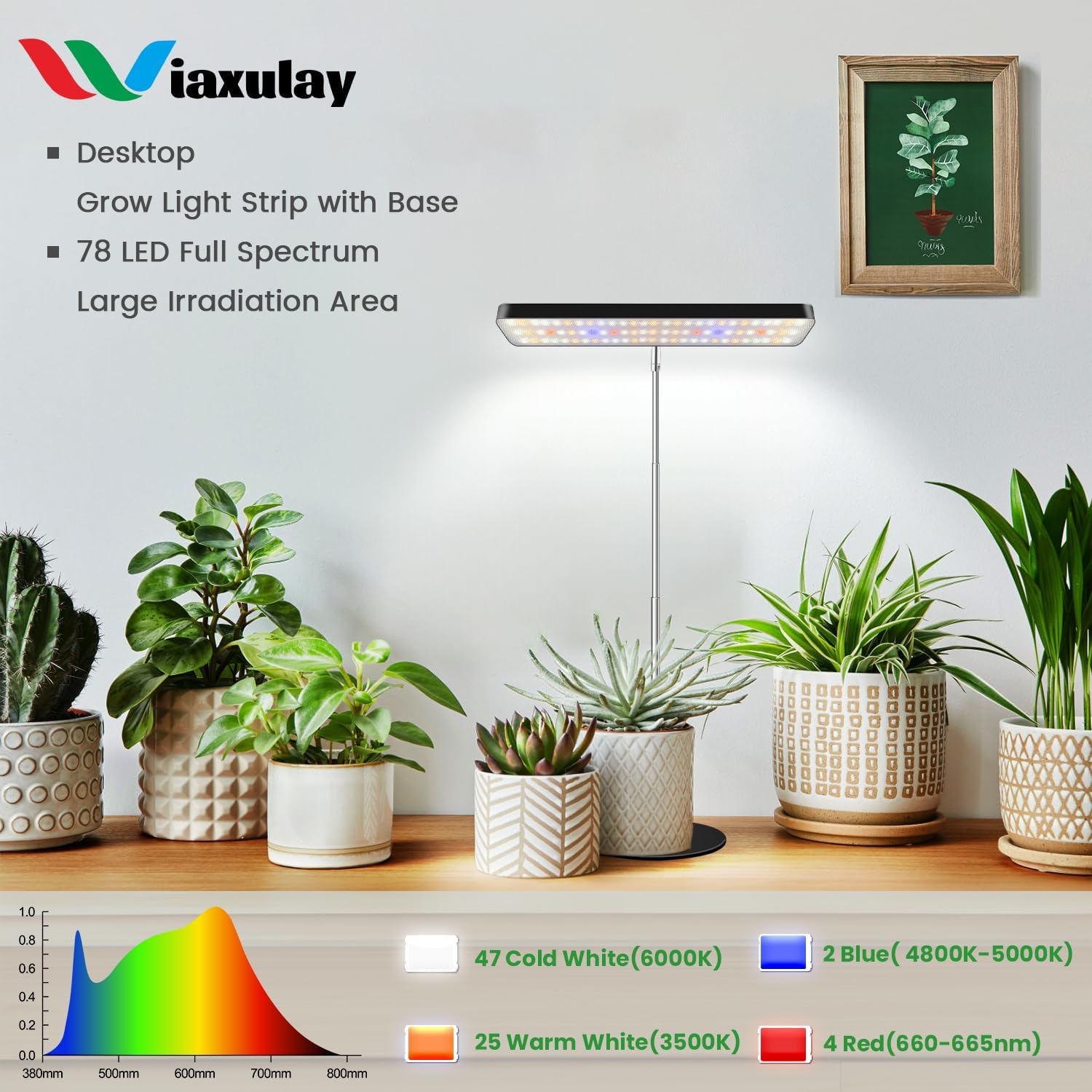 Wiaxulay Grow Light, 11in Full Spectrum Plant Lights for Indoor Growing 15W | 2 Pack Desk Grow Lamp for Seed Starting
