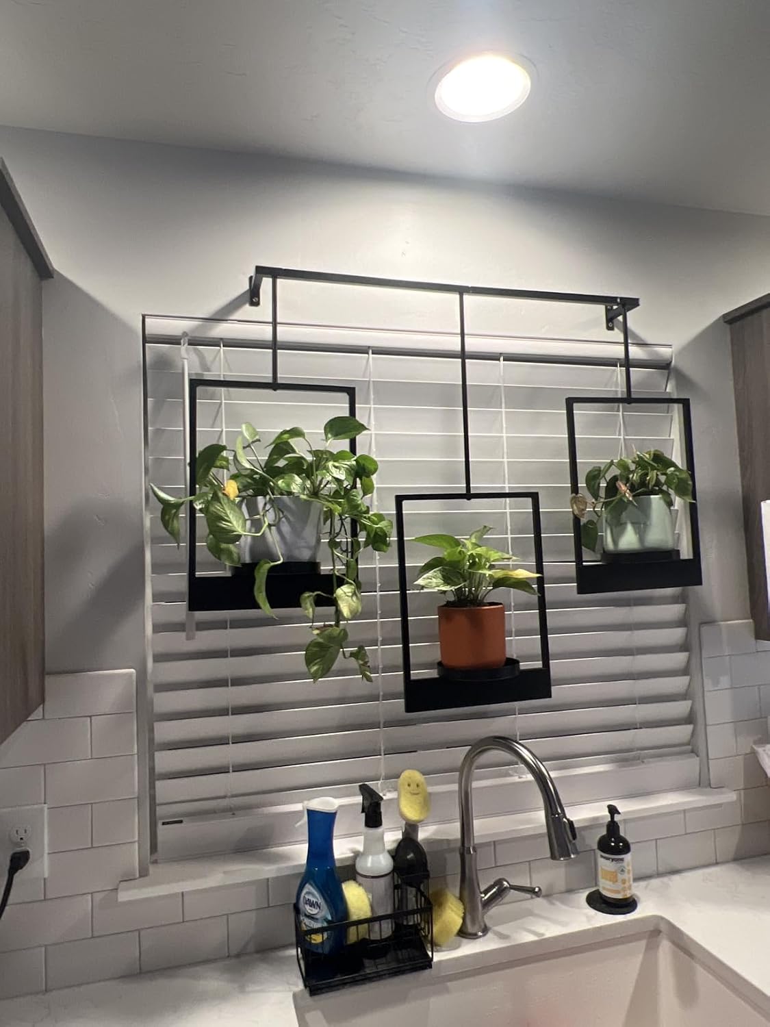 Wall Planters for Indoor Plants Wall Plant Holder Frame Plant Wall Hanger Window Plant Hanger for Livingroom Entryway