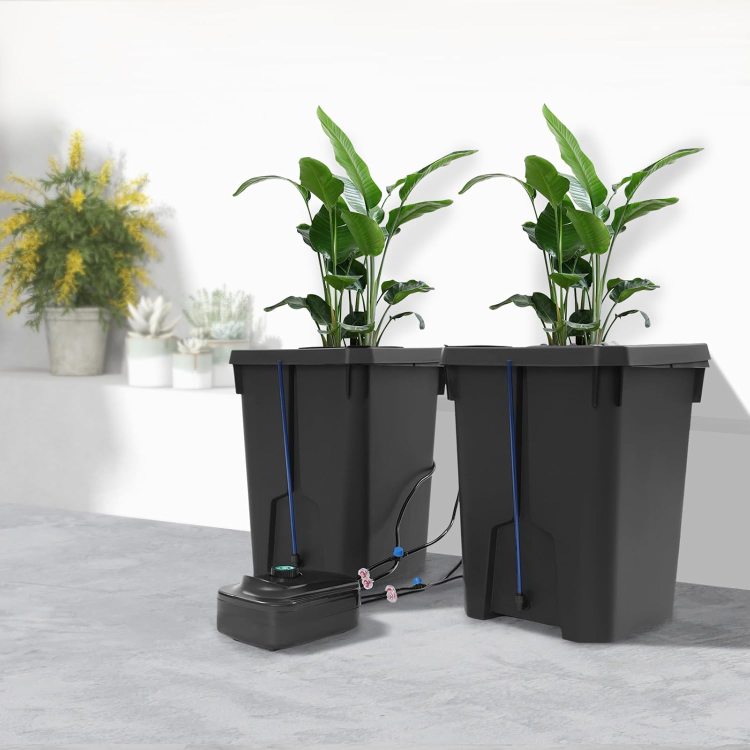 Hydroponic Growing Bucket Kit, Recirculating Hydroponics Growing System Drip Garden System with 2 Hydroponics Growing
