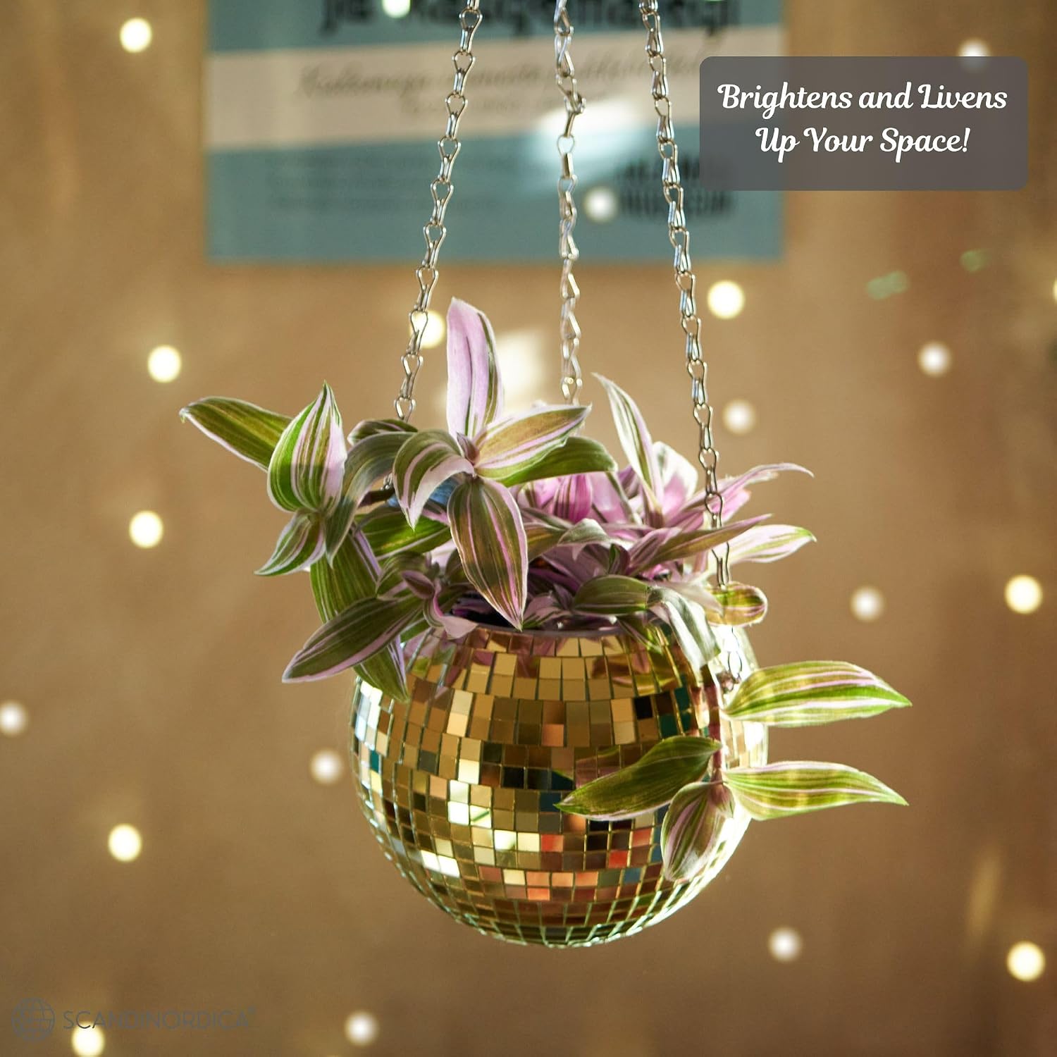 Disco Ball Planter – Value Package: Mirror Disco Planter with Chain, Macrame Hanger and Acrylic Stand for Desk