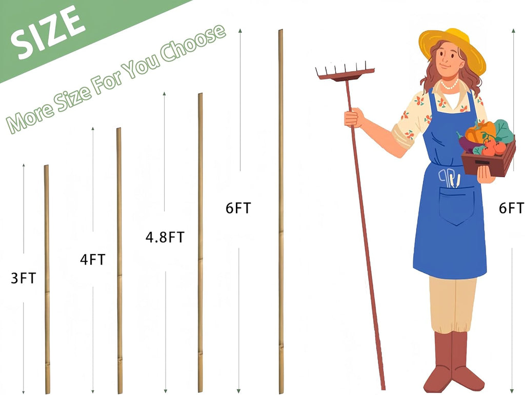Plant Bamboo Post,4Feet,65Pcs,Bamboo Garden Stakes,Bamboo Stakes,for Tomato,Beans,Vegetable and Flowers, Potted
