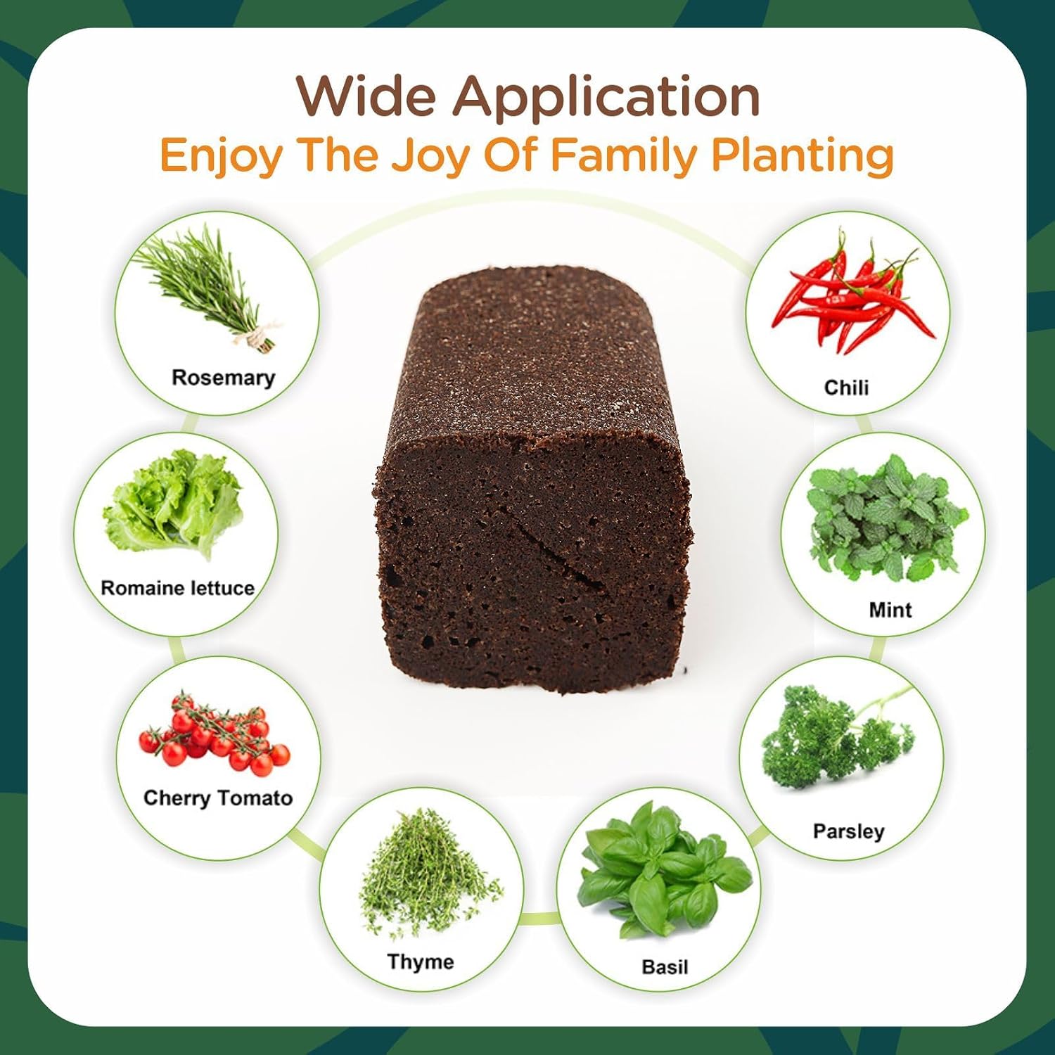 Rooting Cubes for Plant Cloning, 80PCS Grow Media with Pre-Cut Slit