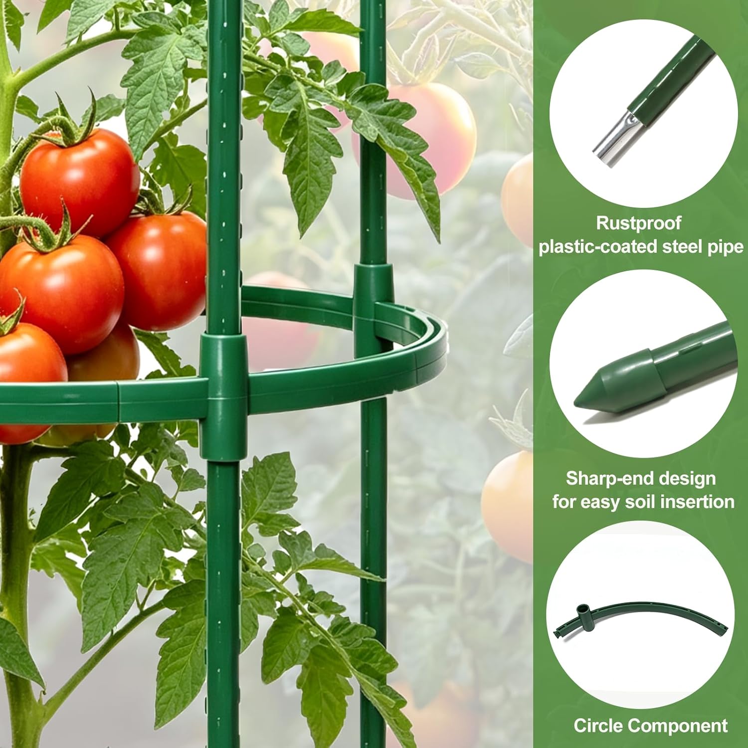 Tomato Cages for Garden&Pots, 4 Pack 50" Plant Support Trellis for Tomatoes, Cucumbers, Beans | Heavy-Duty Steel with