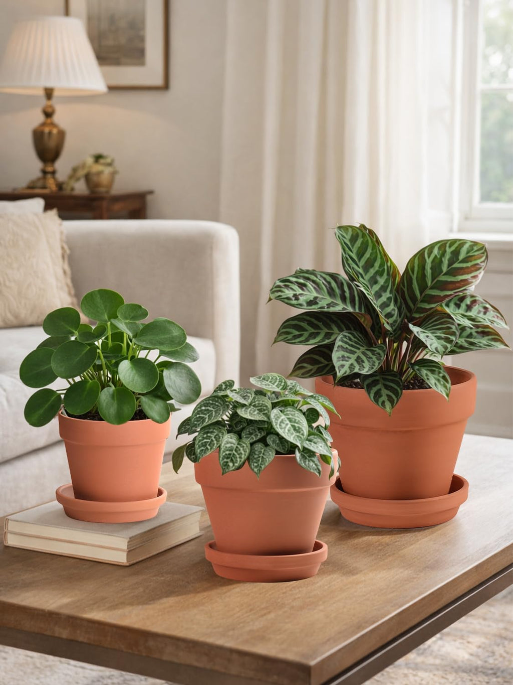 INGOFIN Terracotta Pots Set with Saucer - 5/6/7 inch Ceramic Clay Planters with Drainage Hole, Garden Flower Succulent