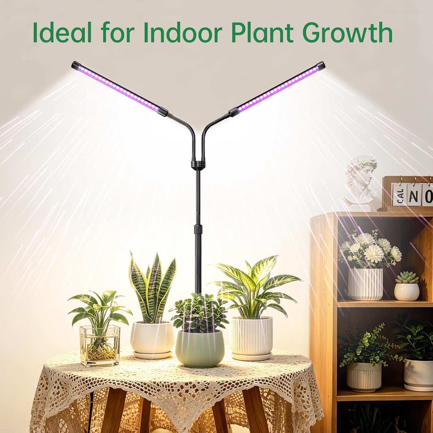 Full Spectrum Grow Light for Indoor Plants for Desk, Seedlings | Metal stand, height adjustable, remote control & wired