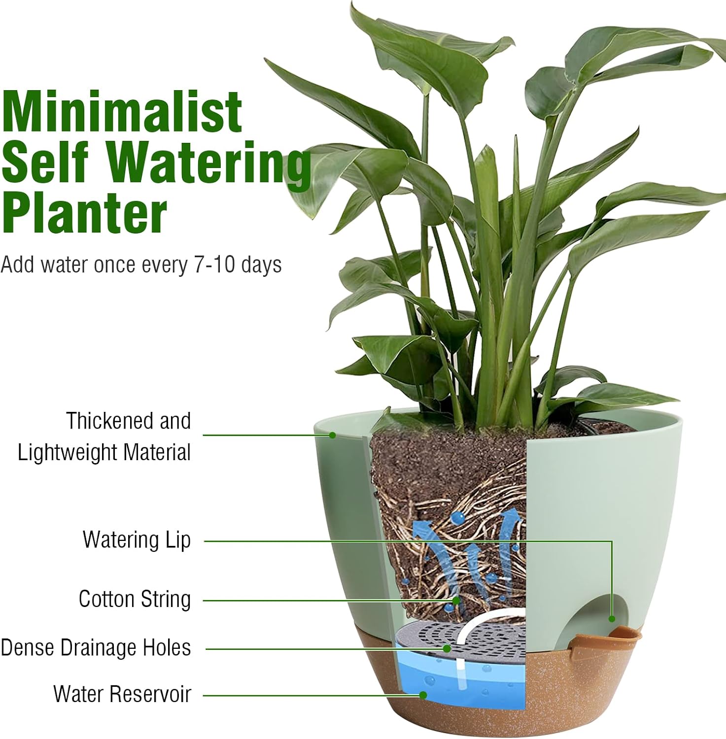WOUSIWER 10 inch Self Watering Planters, 2 Pack Large Plastic Plant Pots with Deep Reservior and High Drainage Holes