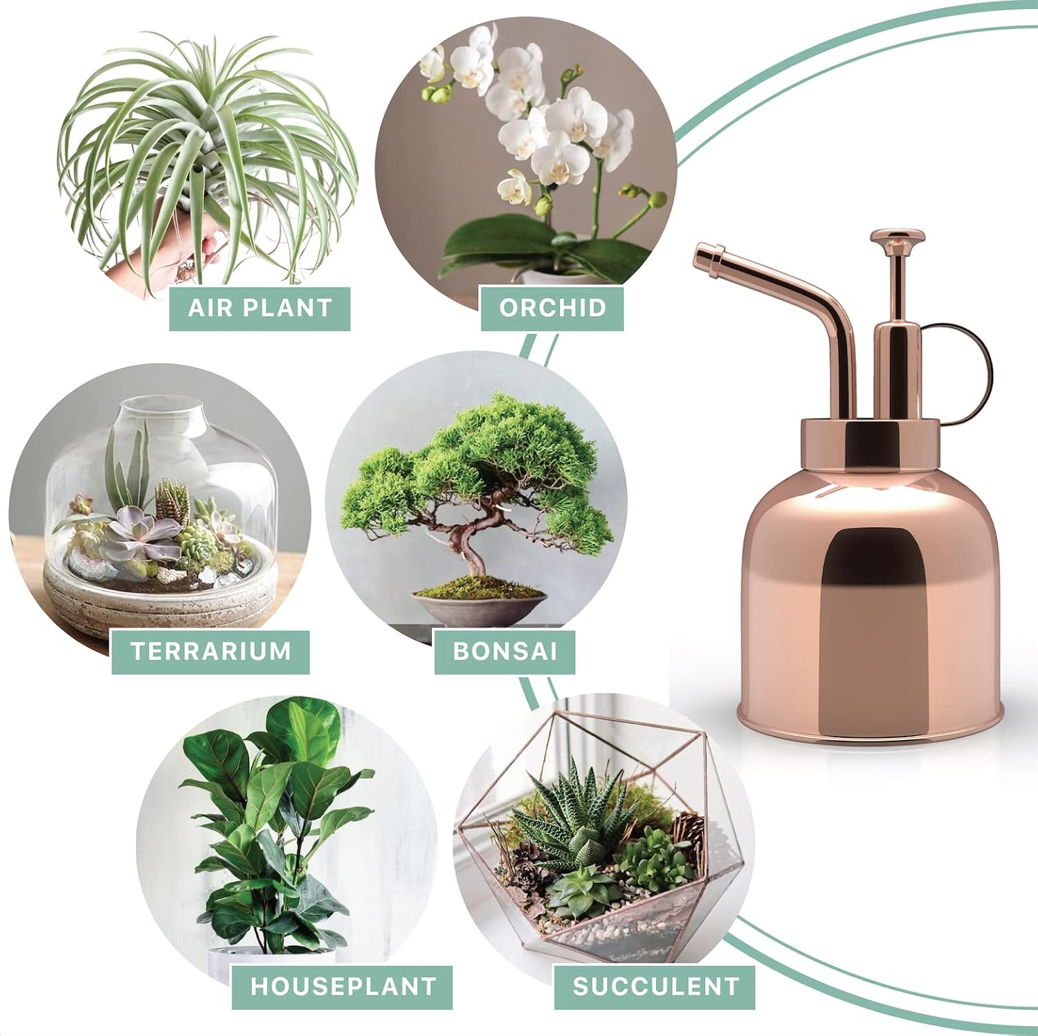 Stainless Steel Plant Mister Spray Bottle Watering Can for Indoor Plants Succulent Bonsai Garden Spray Houseplant