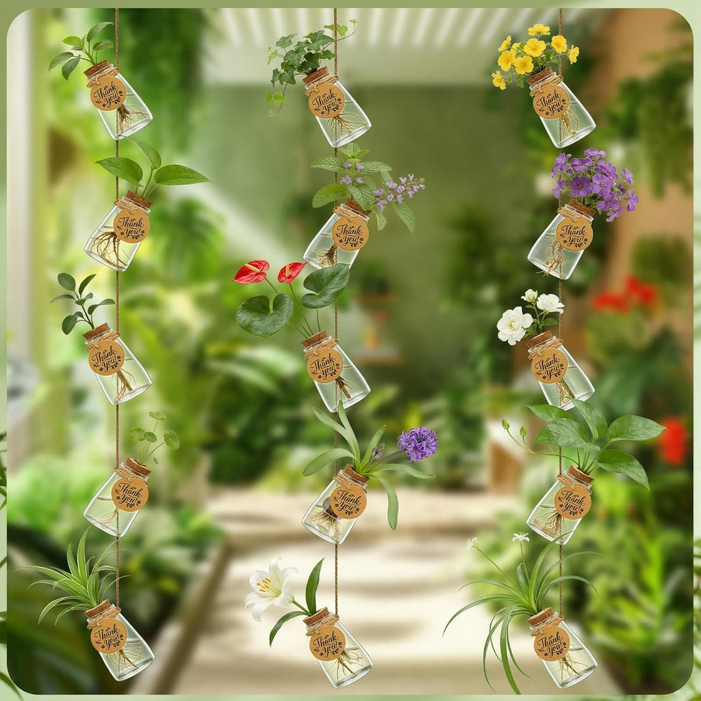 30PCS Plant Propagation Stations 3.35'' Plastic Propagation Jars Clear Vase | Clear Hydroponic Small Vase with Cork