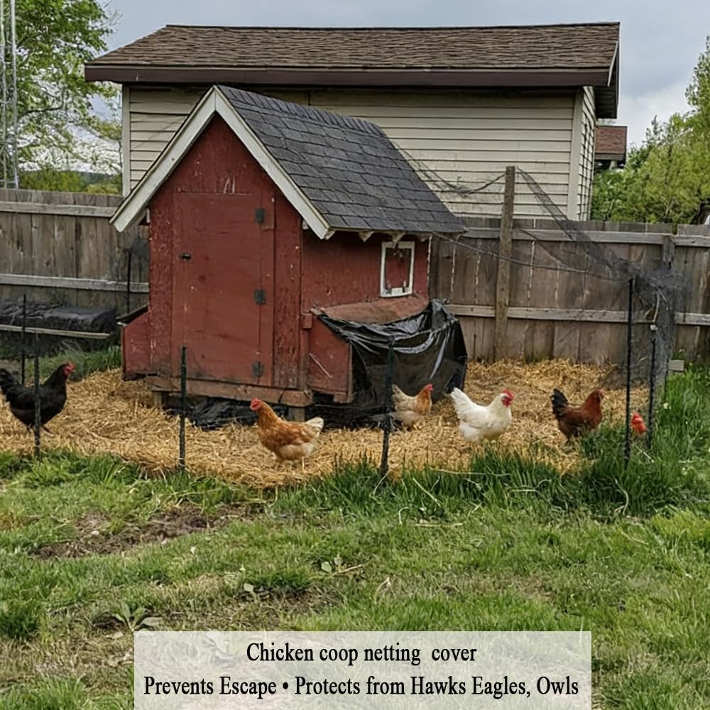 Bird Netting for Chicken Coop 25x50 FT, 1" Chicken Run Cover Net | Woven Coop Netting Roof Against Hawk, Eagle, Owls
