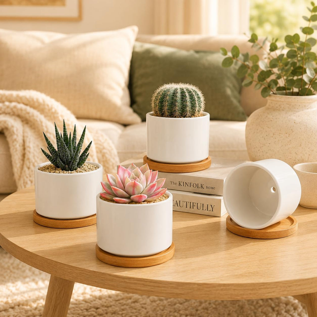ZOUTOG Succulent Pots 3.1 Inch,Succulent Planters 12 Pack,Small Pots for Plants with Drainage and Tray,White Ceramic