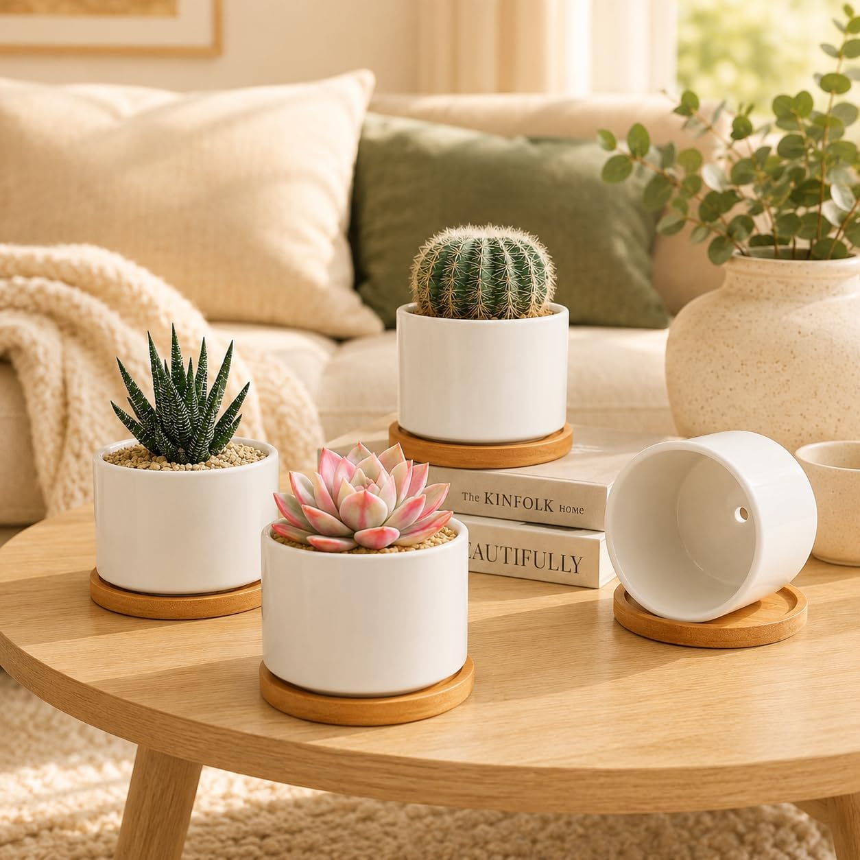 ZOUTOG Succulent Pots 3.1 Inch,Succulent Planters 12 Pack,Small Pots for Plants with Drainage and Tray,White Ceramic