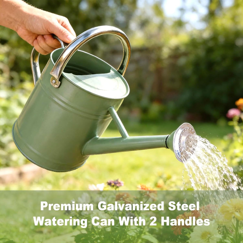 1 Gallon Metal Watering Can for Outdoor&Indoor Plants | Removable Sprinkler Head,Made of Premium Galvanized