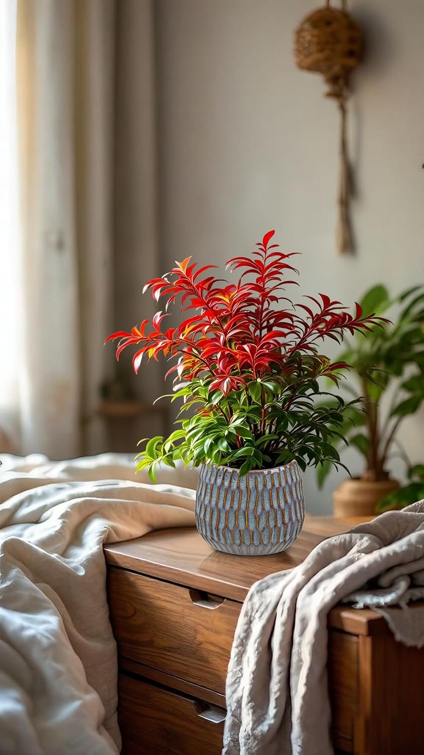 Oairse Small Ceramic Pots for Plants, 4.9 inch Blue Plant Pot Indoor with Drainage Ceramic Planters for Indoor Plants