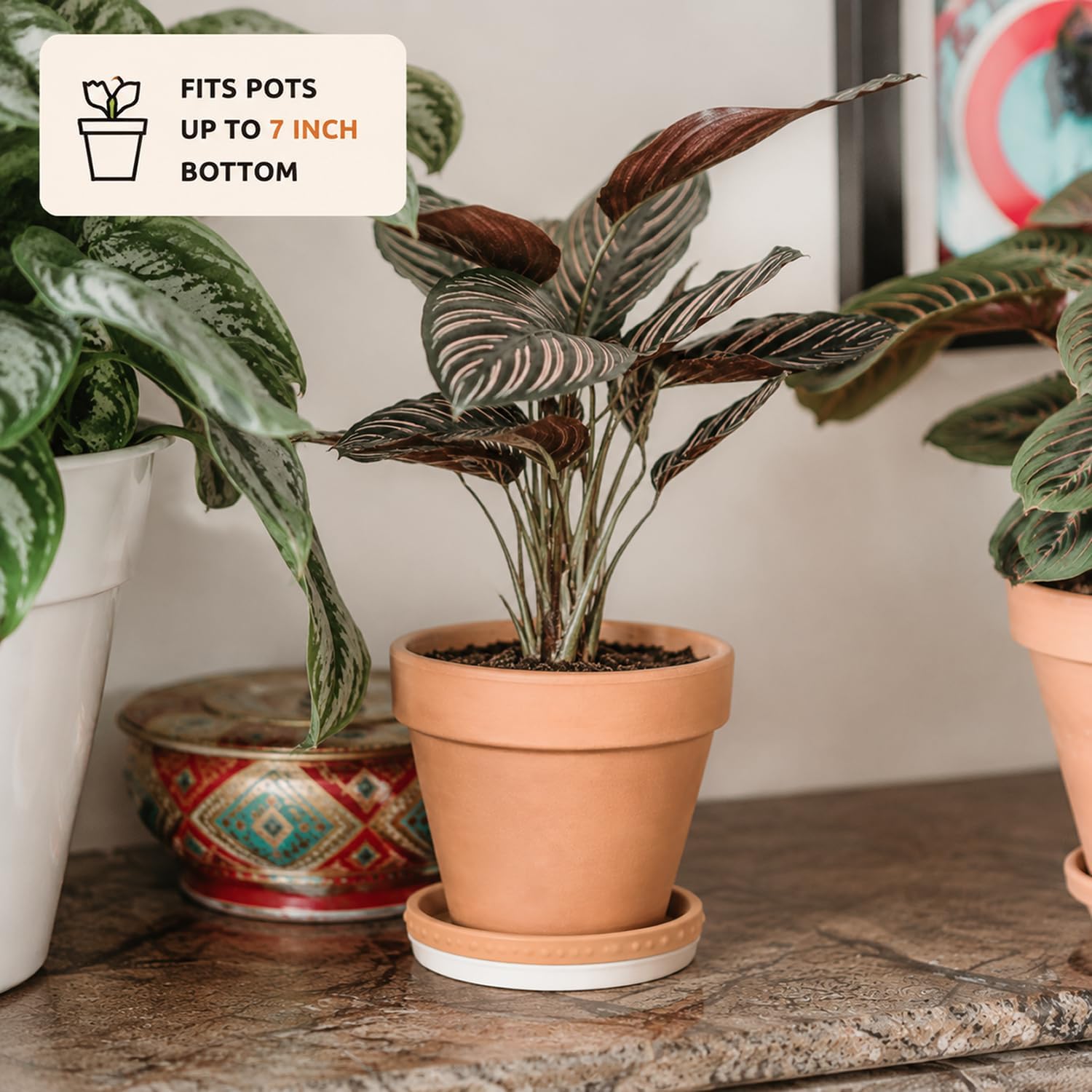 YBX 8-inch Plant Saucer Premium Terracotta Saucer Round Ceramic Plant Trays, Pack of 2 (White/Terracotta) | Glazed