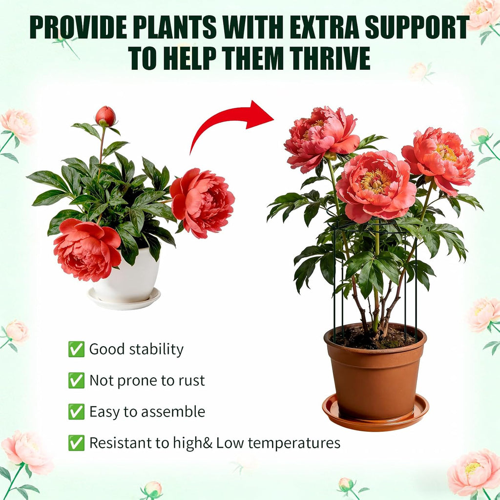 Peony Cages and Supports 4 Pack, 13" Dx24 H Grow Through Plant Supports, Heavy Duty Metal Plant Support Cage for