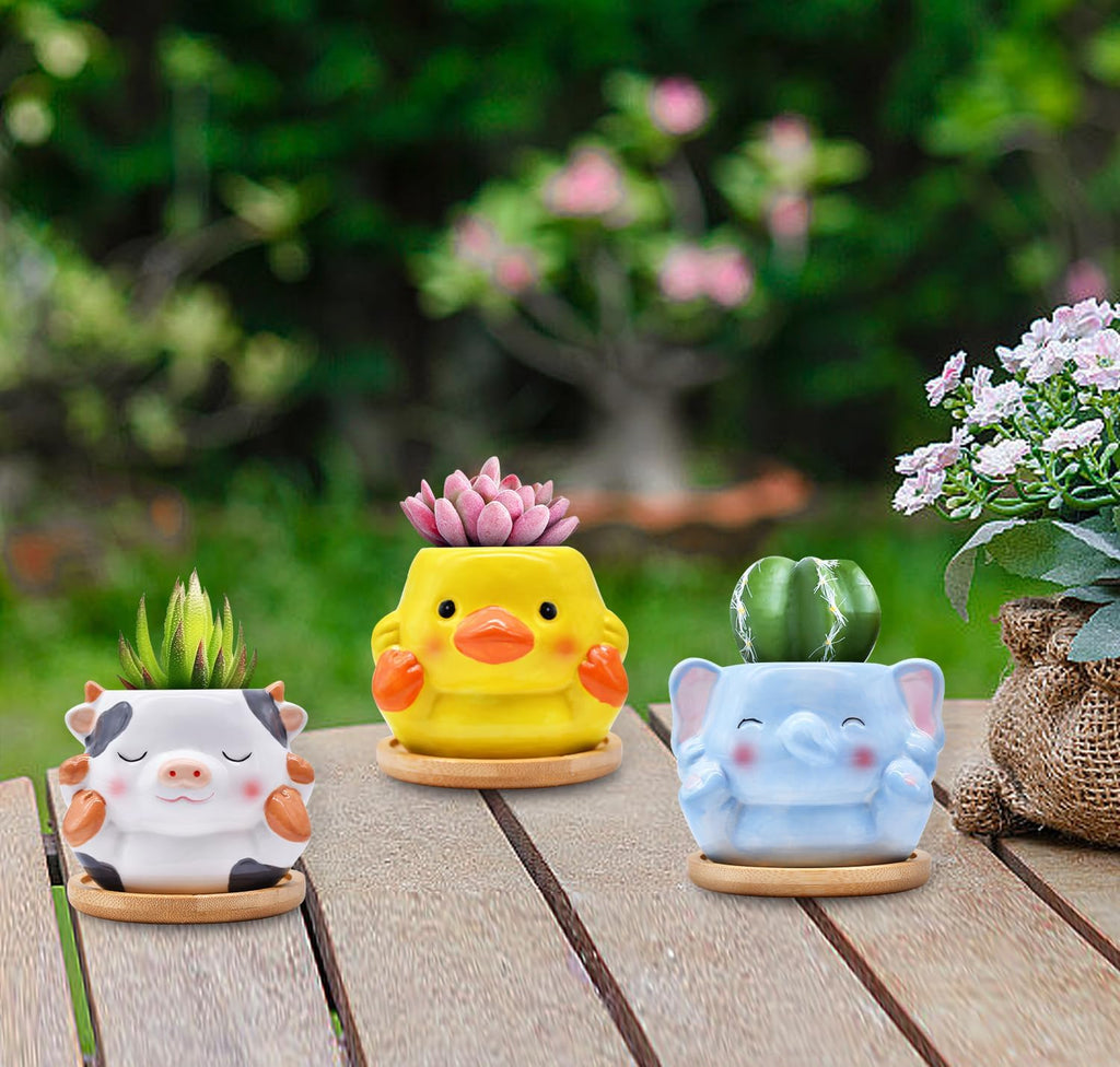 Photken 6 Pack Ceramic Succulent Pots with Drainage – Small Animal Planters with Bamboo Trays for Cactus & Indoor